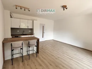 Pronájem bytu 1+kk, Plzeň, Heyrovského, 40 m2