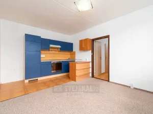 Prodej bytu 2+kk, České Budějovice - České Budějovice 2, K. Štěcha, 56 m2