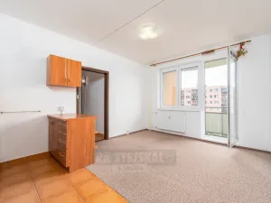 Prodej bytu 2+kk, České Budějovice - České Budějovice 2, K. Štěcha, 56 m2