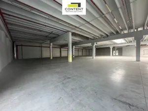 Pronájem výrobních prostor, Říčany, U Sanitasu, 11000 m2