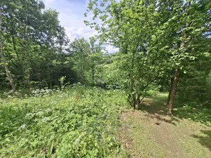 Prodej chaty, Týnec nad Sázavou - Pecerady, 30 m2