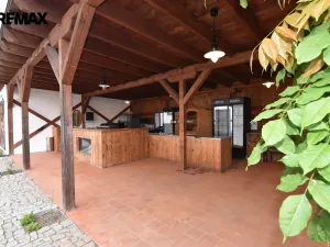 Prodej rodinného domu, Dolany - Véska, 382 m2