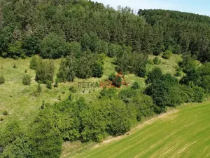 Prodej louky, Neveklov, 12084 m2