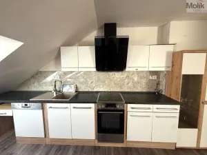 Prodej rodinného domu, Teplice - Trnovany, Thámova, 360 m2