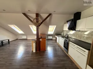 Prodej rodinného domu, Teplice - Trnovany, Thámova, 360 m2