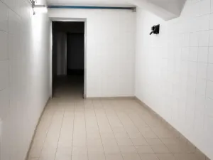 Pronájem výrobních prostor, Praha - Uhříněves, 220 m2