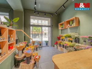 Pronájem restaurace, Plzeň - Jižní Předměstí, Americká, 145 m2