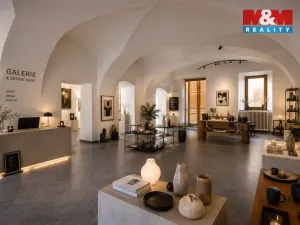 Pronájem obchodního prostoru, České Budějovice - České Budějovice 1, Hradební, 142 m2