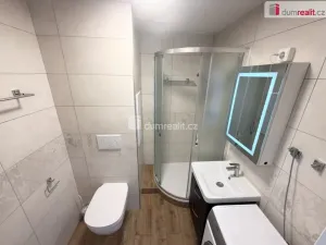 Pronájem bytu 1+1, Ústí nad Labem - Severní Terasa, Pincova, 36 m2