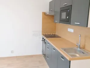 Pronájem bytu 1+1, Chodov, Čs. odbojářů, 36 m2