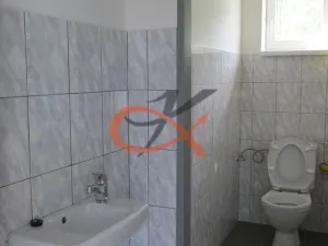 Pronájem skladu, Valašské Meziříčí, M. Alše, 265 m2