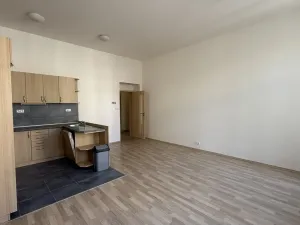 Pronájem bytu 1+kk, Brno - Brno-město, Panská, 39 m2