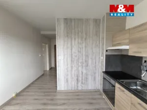 Pronájem bytu 1+1, Ústí nad Labem - Severní Terasa, Oblá, 41 m2
