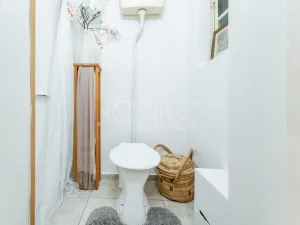 Prodej bytu 1+kk, Praha - Nusle, Sezimova, 22 m2