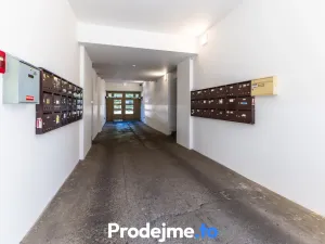 Pronájem bytu 2+kk, Praha - Žižkov, Hartigova, 41 m2