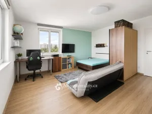 Prodej bytu 4+kk, Znojmo, Vídeňská třída, 169 m2