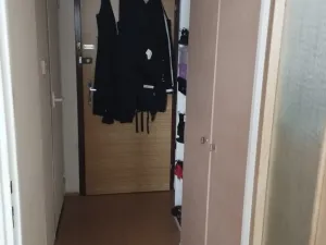 Pronájem bytu 1+1, Ústí nad Labem - Mojžíř, Peškova, 36 m2