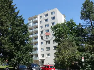 Pronájem bytu 2+1, Třebíč - Borovina, Dělnické nám., 59 m2