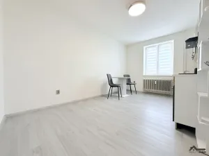 Pronájem bytu 1+1, Ostrava, Prostorná, 54 m2