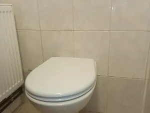 Pronájem rodinného domu, Liptál, 250 m2