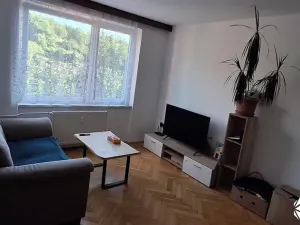 Pronájem bytu 2+1, Boskovice, Bílkova, 54 m2