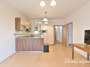 Pronájem bytu 3+kk, Brno, Křehlíkova, 71 m2