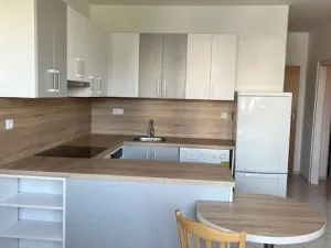 Pronájem bytu 1+1, Hradec Králové - Nový Hradec Králové, Durychova, 46 m2