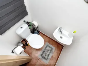 Prodej bytu 5+kk, Praha - Smíchov, Lidická, 185 m2