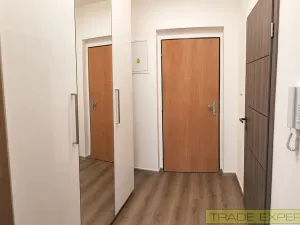 Prodej bytu 1+kk, Dolní Břežany, Ke Kapličce, 34 m2