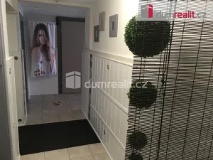 Prodej bytu 3+kk, Mladá Boleslav, Boženy Němcové, 160 m2