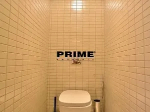 Pronájem bytu 3+kk, Praha - Žižkov, Prokopova, 154 m2