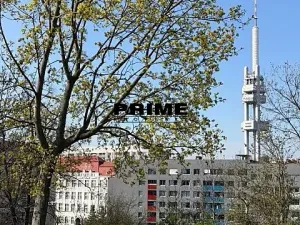 Pronájem bytu 3+kk, Praha - Žižkov, Prokopova, 154 m2