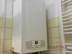 Pronájem bytu 1+1, Opava - Předměstí, Kylešovská, 32 m2