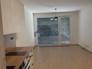 Pronájem bytu 1+kk, Praha, Jáchymovská, 33 m2