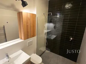 Pronájem bytu 4+kk, Písek - Budějovické Předměstí, Za Nádražím, 85 m2