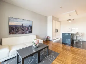 Pronájem bytu 2+kk, Brno, Palackého třída, 56 m2