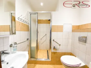 Pronájem bytu 2+kk, Liberec, Halasova, 45 m2