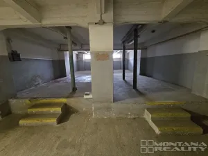 Pronájem obchodního prostoru, Olomouc, Pasteurova, 550 m2