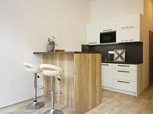 Pronájem bytu 1+kk, Brno, Koliště, 32 m2
