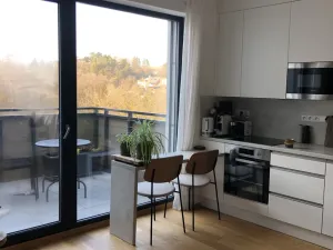 Pronájem bytu 1+kk, Brno, Kleštínek, 40 m2