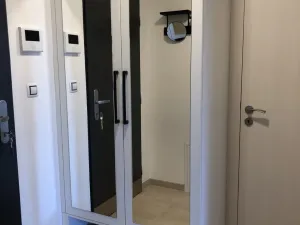 Pronájem bytu 1+kk, Brno, Kleštínek, 40 m2