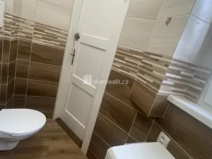 Pronájem bytu 2+kk, Ústí nad Labem, Palachova, 47 m2