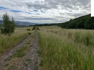 Prodej louky, Ústí nad Labem, 216333 m2