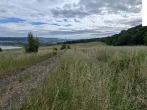 Prodej louky, Ústí nad Labem, 216333 m2