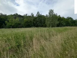 Prodej louky, Ústí nad Labem, 216333 m2