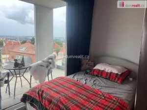 Pronájem bytu 2+kk, Praha, Korunní, 75 m2