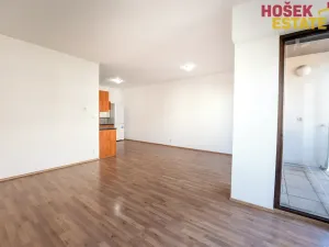 Prodej bytu 2+kk, Brno, Kigginsova, 60 m2