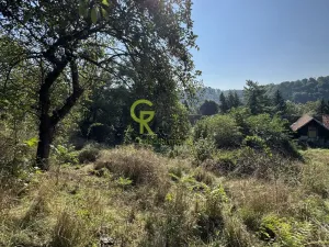 Prodej pozemku pro bydlení, Husinec, Husinecká, 3752 m2