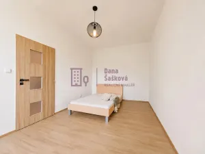 Prodej bytu 1+1, Jindřichův Hradec - Jindřichův Hradec II, Schwaigrova, 55 m2
