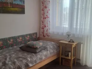 Pronájem bytu 3+kk, Pardubice - Zelené Předměstí, Nerudova, 94 m2